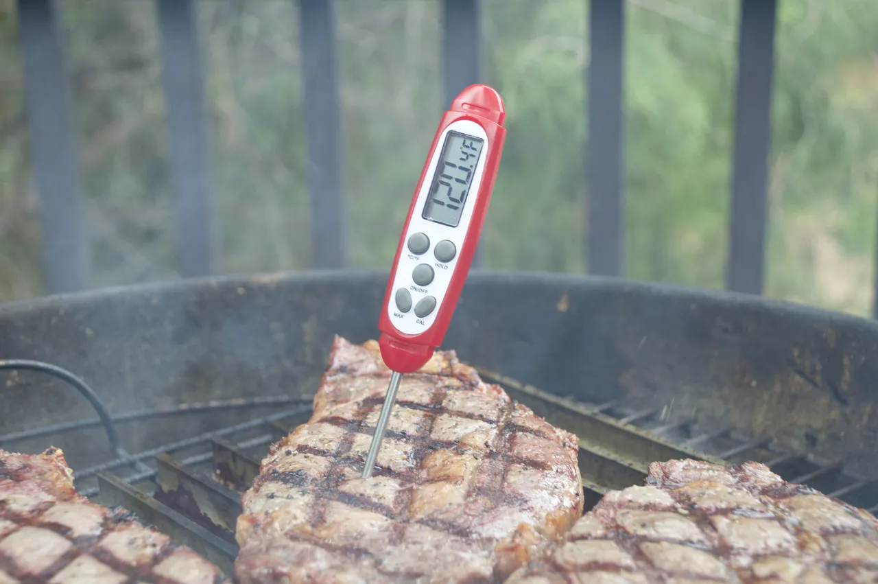The DT-09 Thermometer in action