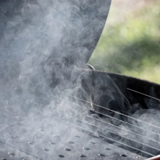 Pit Barrel Cooker Co. logo